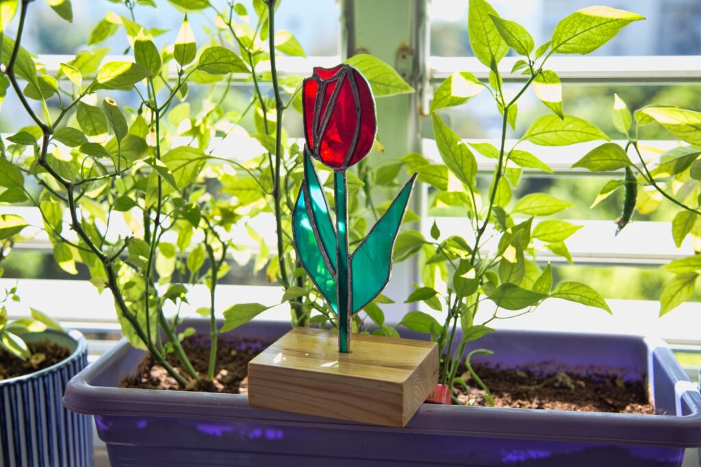 stained glass flower tulip טוליפ ויטראז' עבודת זכוכית