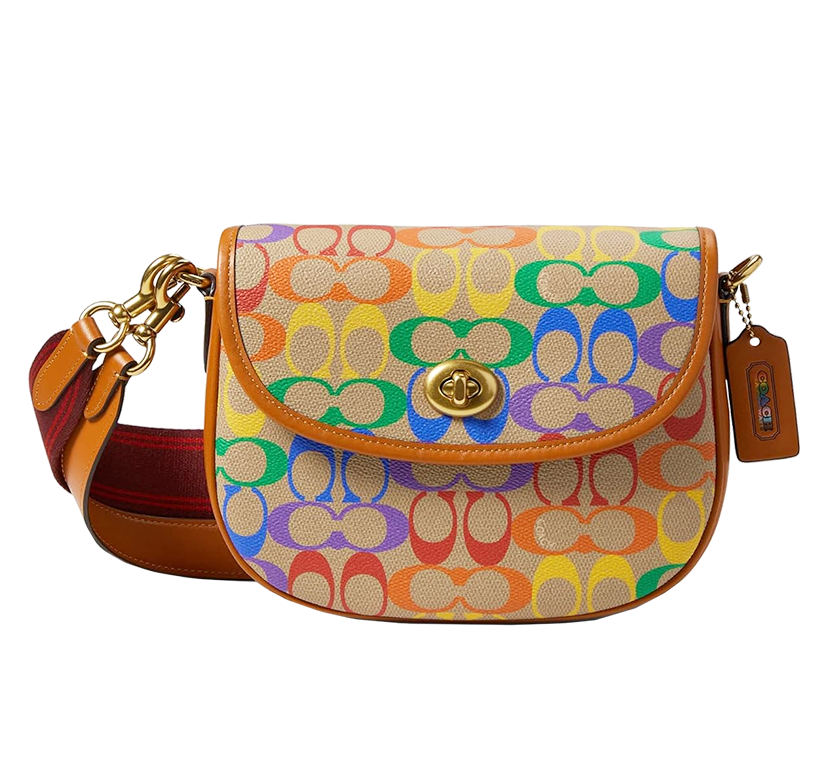 coach CA101 Willow Saddle Bag In Rainbow Signature Canvas IN Tan Hazelnut Multi gift guide